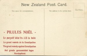 new zealand, NELSON, the Waterworks (1910s) Pilules Noël Advertisement