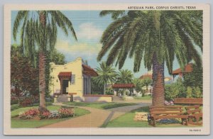 Linen~Artesian Park & Palms Corpus Christi Texas~Vintage Postcard