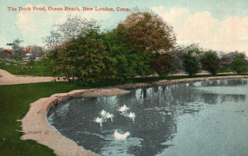 Vintage Postcard Duck Pond Ocean Beach New London Connecticut Valentine & Sons