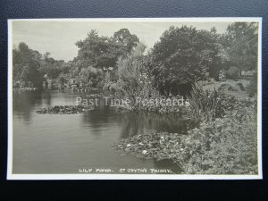 Essex CLACTON ON SEA St Osyth's Priory Lily Pond - Old RP Postcard