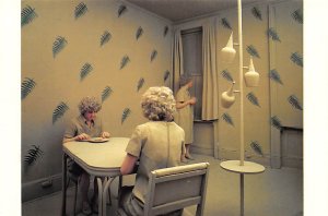 Ferns, Photo By Sandy Skoglund 