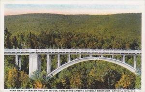 New York Catskill Mountain Near View Of Traver Hollow Bridge