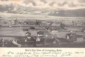 Livingston Montana panoramic birds eye view of area antique pc Y13275