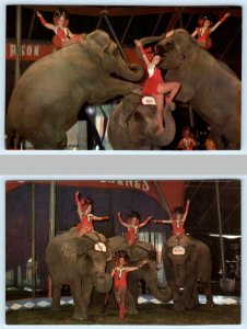 2 Postcards CARSON & BARNES CIRCUS ~ Trainers ELEPHANTS Kay Minnie c1960s