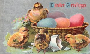 Vintage Postcard 1910's Easter Greetings Cute Chicks & Eggs In A Basket Greeting