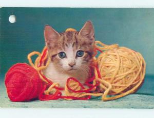 Hole Punch Damage Pre-1980 CUTE KITTEN CAT PLAYS IN BALLS OF YARN n0399