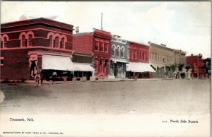 Tecumseh Nebraska North Side Square Red Cross Drug Store Advert Postcard V20
