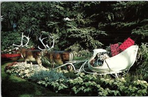 Postcard NATURE SCENE Milwaukee Wisconsin WI AJ2492