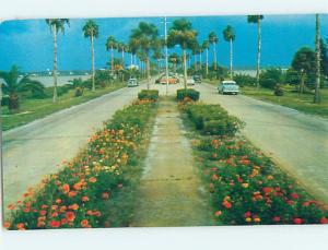 Pre-1980 ROAD OR STREET SCENE Clearwater Beach Florida FL hJ6323