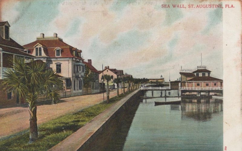 SEA WALL ST. AUGUSTINE FLORIDA POSTCARD (c. 1905)