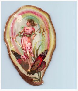 1880s Die-Cut Oyster Shells Fantasy Fairies Butterflies Moths Set Of 4 #6H