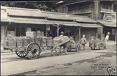 japan, Native Farmers with Milk Ox Cow Cart 1950s RPPC