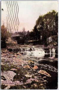Postcard Guelph Ontario c1908 View On The Speed Goldie's Creek by Warwick