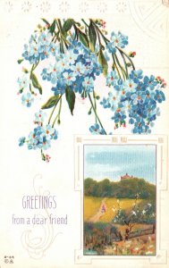 Vintage Postcard 1914 Greetings From A Dear Friend Tiny Petals Landscape Card