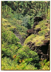 JFK Profile Hiding in Iao Valley Maui Hawaii Postcard Can You Find it 4 x 6