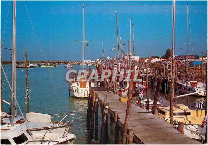 Modern Postcard L'Aiguillon La Faute sur Mer (Vendee) La Cote de Lumiere Charter