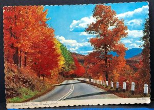 Autumn Colors Winding Roads Roads 1973 Vintage Postcard