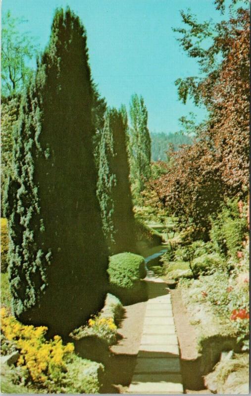 Sunken Gardens The Butchart Gardens Victoria BC UNUSED Vintage Postcard D97 