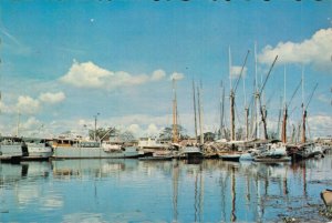 Indonesia Sunda Kelapa Harbour Jakarta Vintage Postcard BS.08