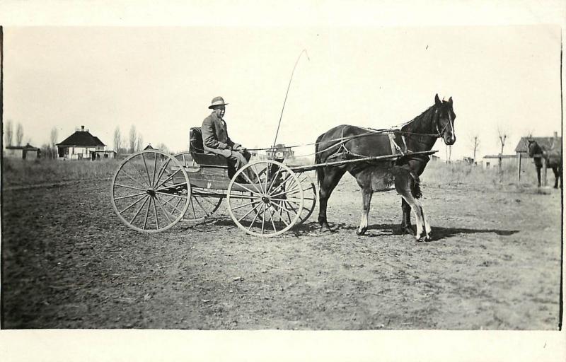 c1910 RPPC Horse & Buggy, Mare with Young Foal, Idaho Prairie Farm? 