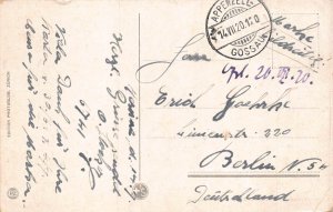 L144 Switzerland 1920 Biel Bienne Mountains Peaks Panorama vintage postcard