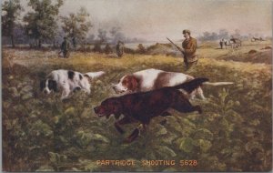 Postcard Dogs Hunting Partridge Shooting 1909