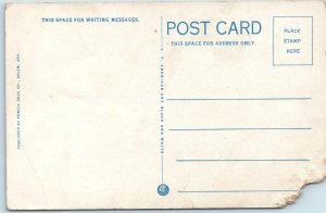 c1930s Salem Knob, Salem, AK Rural Town Houses Homestead Postcard Landscape A377