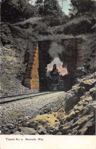 Norwalk Wisconsin Tunnel No.2 Train Passing Vintage Postcard AA21805