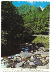 Chimney Tops & Little Pigeon River  Great Smoky Mountains National PK TN