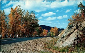 Scenic View Greetings from Port Arthur, Ontario Canada Vintage Postcard G69