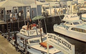 Party Boat Fishing from Cape Island Marina Cape May, New Jersey  