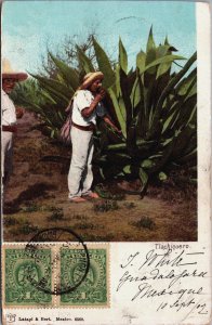 Mexico Tlachiquero Agave Vintage Postcard C203