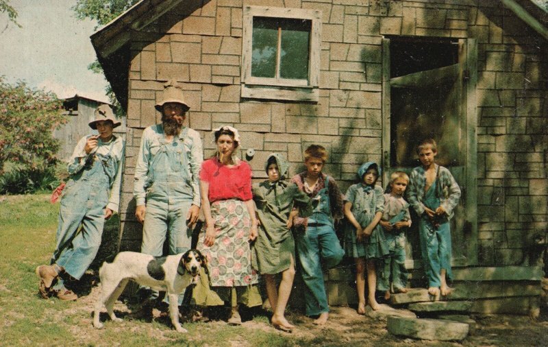 Vintage Postcard Ozarks Livin' Hillbilly Style Fine Family Of Ozarkers Picture
