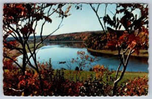 Fall Colours, Saint John River, New Brunswick, Vintage 1973 Chrome Postcard