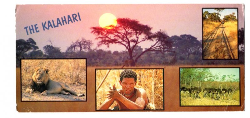 The Kalahari, Game Preserves, Parks. Animals, Black Man, Used in Botswana 1999