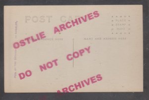 Los Angeles CALIFORNIA RPPC c1915 AIRSHOW Airplane Plante BLERIOT MONOPLANE CA