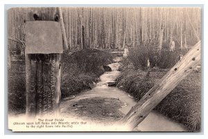 Great Divide Creek Alberta / British Columbia Canada UNP DB Postcard N22