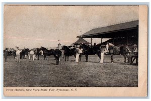 c1910's Prize Horse New York State Fair Syracuse NY Unposted Antique Postcard