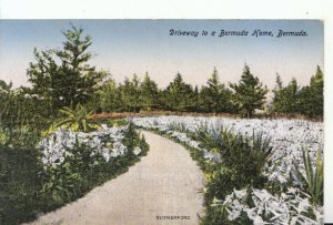 Bermuda Postcard - Driveway To a Bermuda Home - Rutherford - Ref 14924A