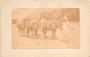 Lot 23 real photo types folklore donkey types middle east ??