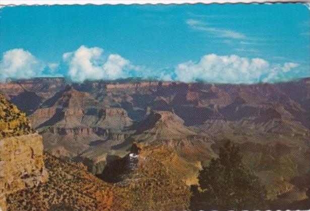 Arizona Grand Canyon National Park Panorama