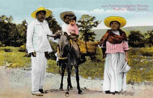 Mexican Indian Family & Donkey Mexico postcard