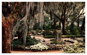 Postcard GARDEN SCENE Mobile Alabama AL AP1759