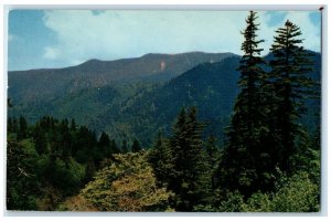 1957 Mt. Leconte Newfound Gap Great Smoky Mountains National  Tennessee Postcard