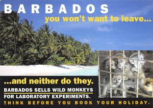 Barbados Sells Wild Monkeys Barbados West Indies Unused 