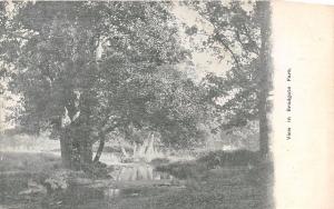 VIEW IN BRADGATE PARK LEICESTERSHIRE UK POSTCARD 1910s