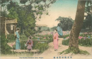 Postcard Japan C-1910 hand colored Iris Garden Horikiri Tokyo 23-1226