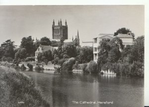 Herefordshire Postcard - The Cathedral - Real Photograph - Ref TZ8378