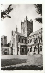 Somerset Postcard - Wells Cathedral - South East - Real Photograph - Ref ZZ6161