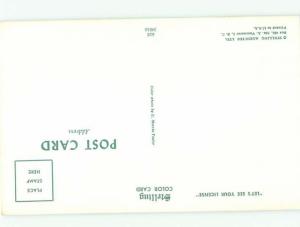 Pre-1980 BEAR STANDING ON OLD CAR AC7051